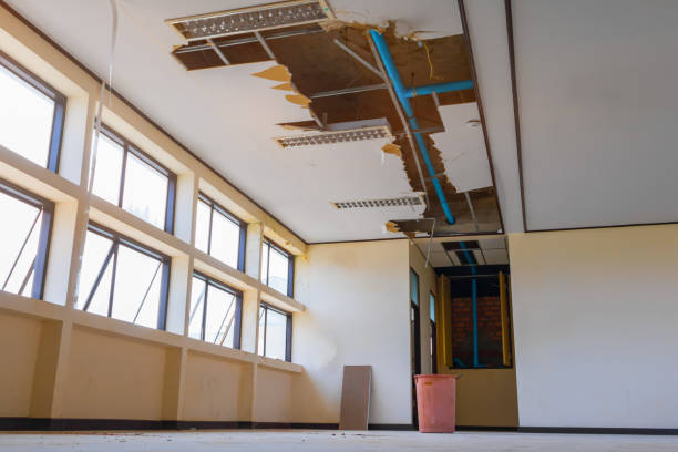 Best Ceiling water damage repair  in Milan, TN