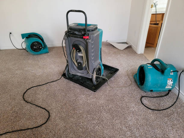  Milan, TN Water damage restoration Pros