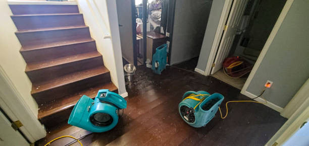Best Local water damage restoration  in Milan, TN