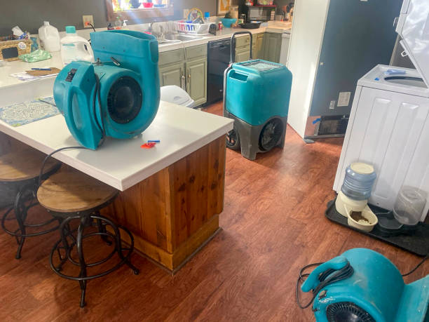 Best Fire Damage Restoration  in Milan, TN