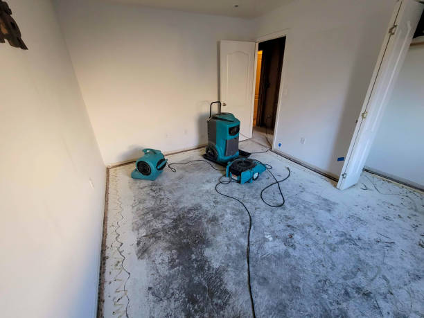 Best Fire Damage Restoration  in Milan, TN