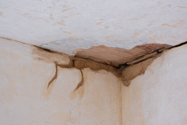 Best Water damage restoration near me  in Milan, TN