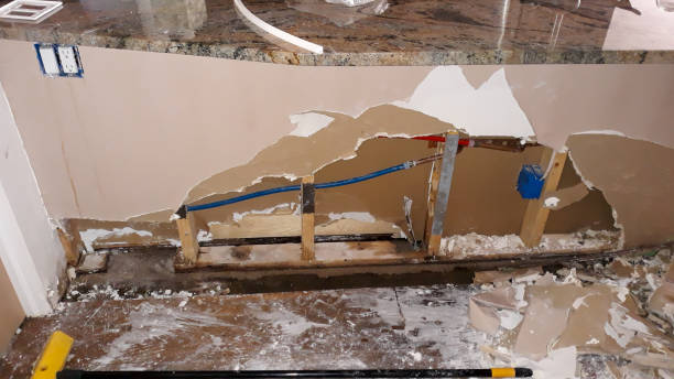 Best Residential water damage restoration  in Milan, TN