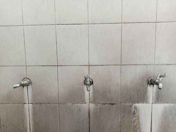 Best Water damage restoration company  in Milan, TN