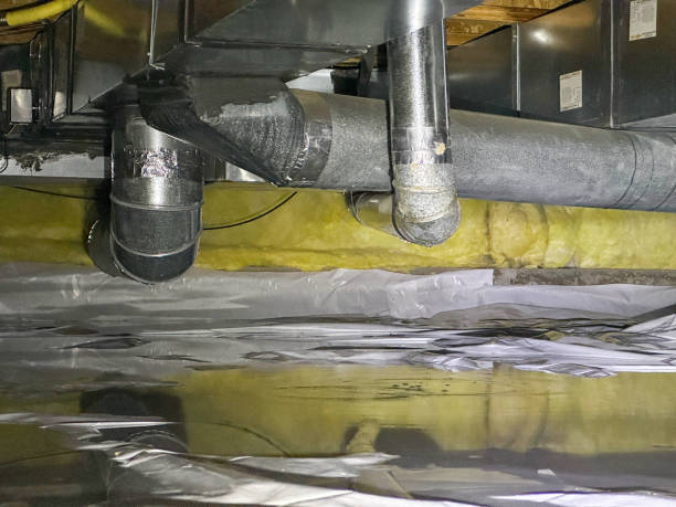  Milan, TN Water damage restoration Pros