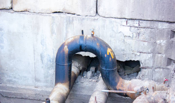 Best Basement water damage restoration  in Milan, TN
