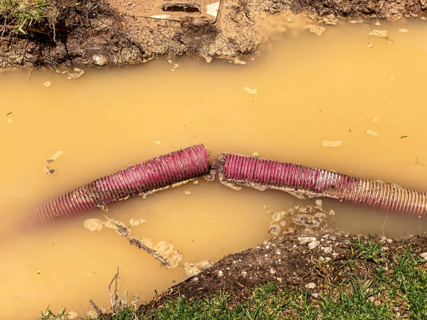 Best Water damage cleanup near me  in Milan, TN