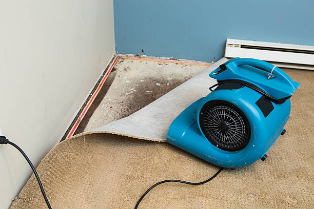 Best Emergency water damage restoration  in Milan, TN
